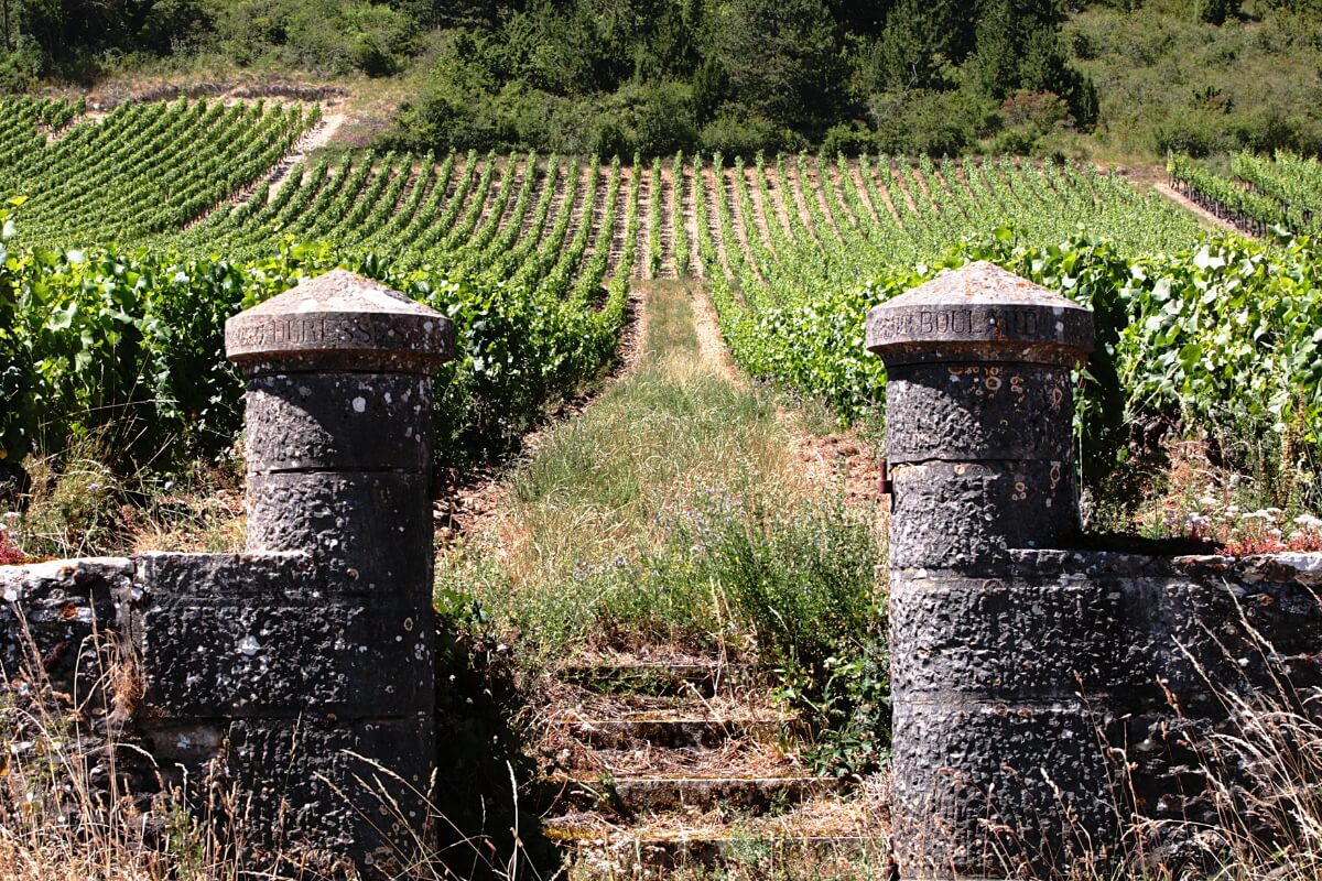 Burgundy vineyard with big stone gates representative of Burgundy region