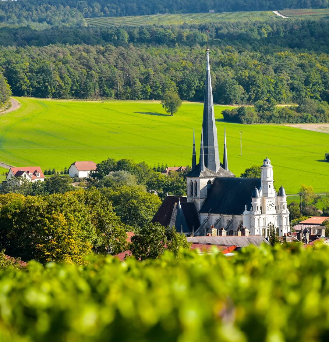 The Hidden Gem of Champagne - Côte des Bar