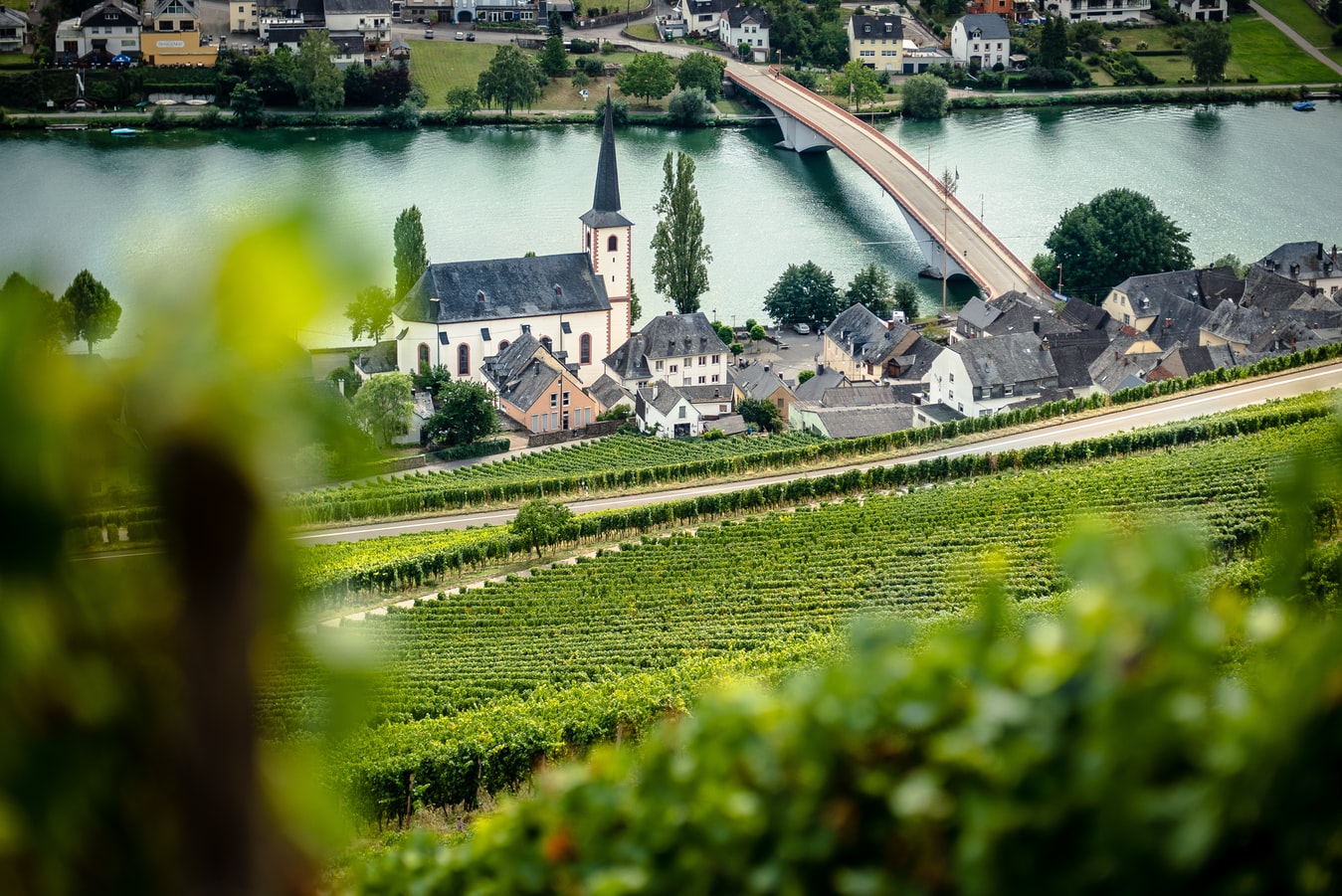Getting you through 2020 with Richards top Rieslings