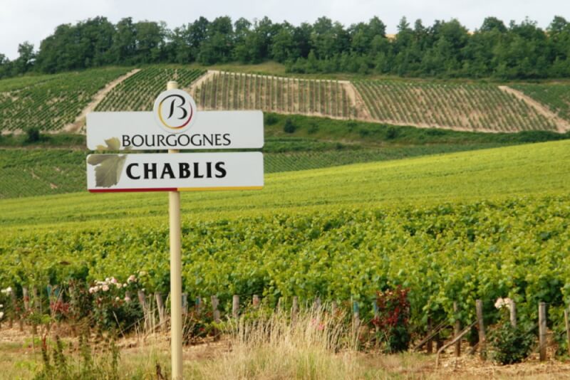 An Introduction to Chablis
