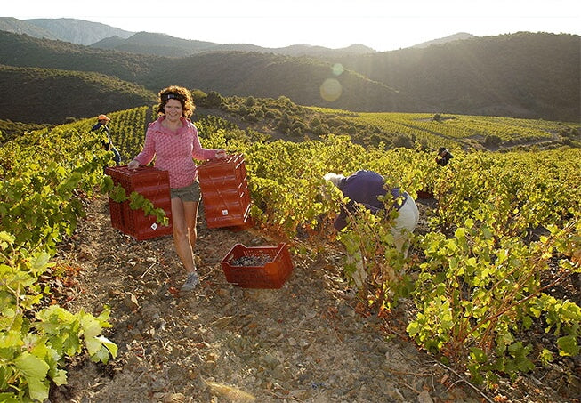 Domaine Jones – A vine romance