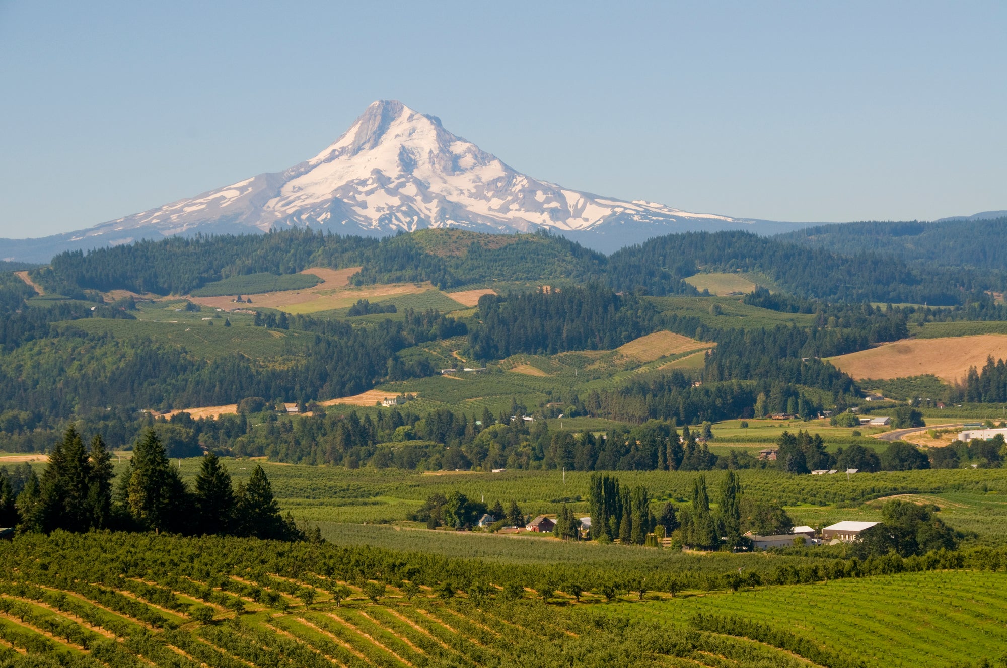 Oregon Wine Month: Willamette Valley 101