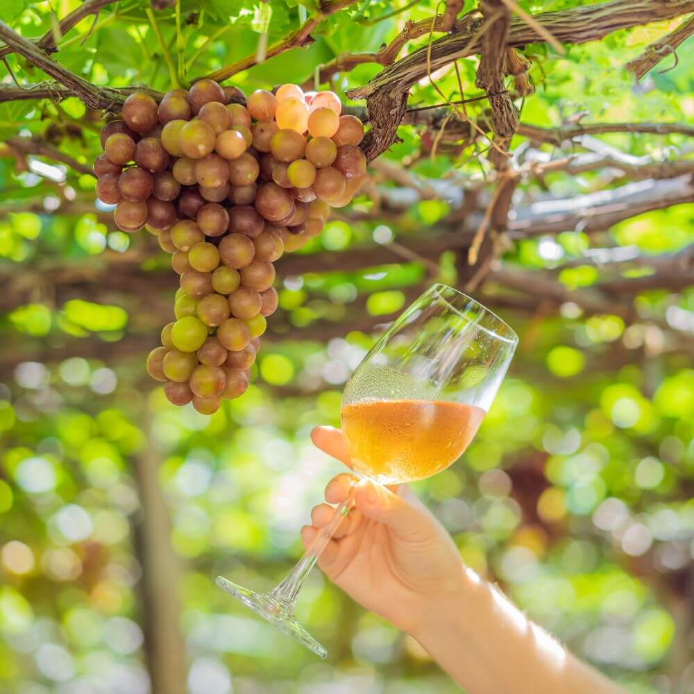 Sparkling Stuff: Celebrate English Wine Week with These Four Fantastic Vineyards