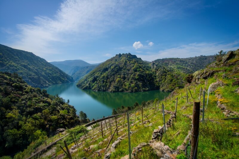 The Wine Camino – a journey through the heart of Green Spain