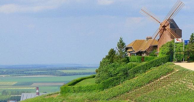 Gallimard Champagne Offer