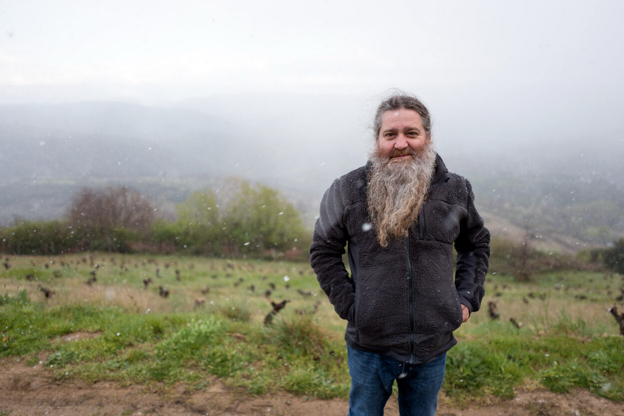 Mencía & Bierzo - Spain's chicest red grape and most trendy region?