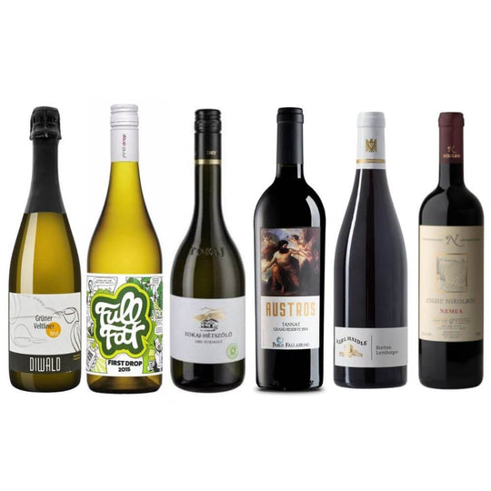 Christmas Discoveries