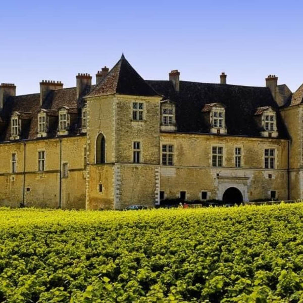 Discover Burgundy Wine Tasting Kew The Good Wine Shop