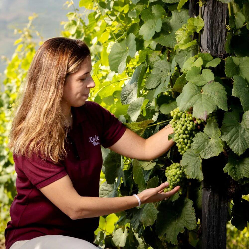 Table Talk: Anna Rola from the Douro - Chiswick Tuesday 11th November 2025