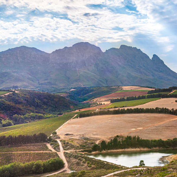 Round Table Tasting Talk with Cristo from Le Riche Wine Tasting Kew