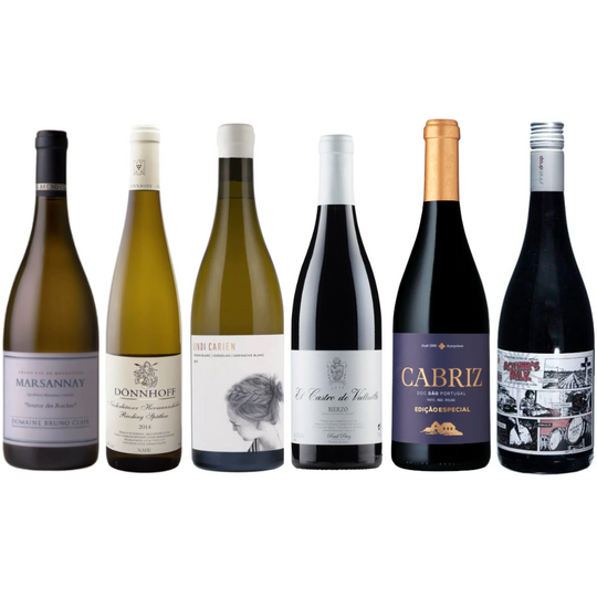 Team Favourites- Mixed Case