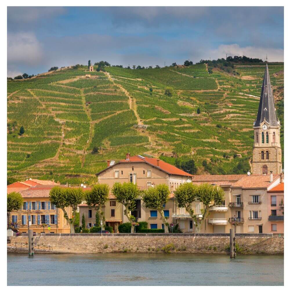 Rhone: Top to Toe - Teddington Wednesday 19th March