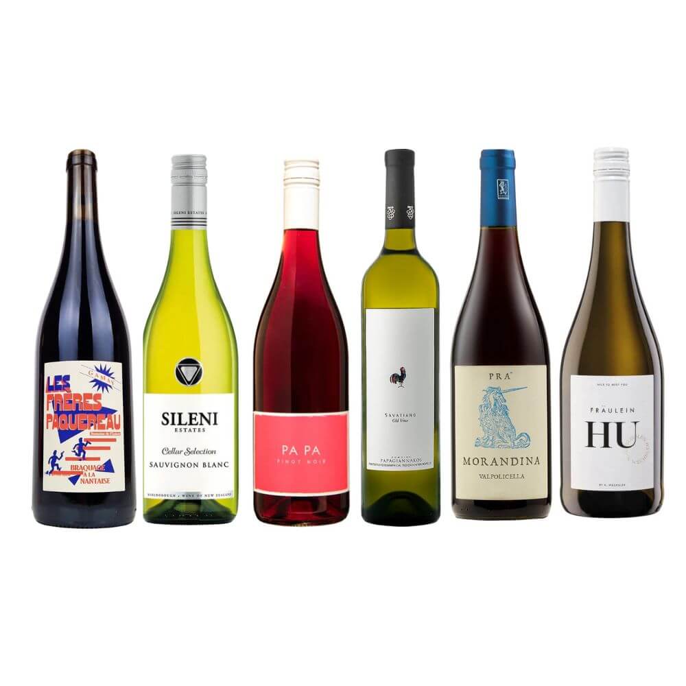 Summer Picnic in the Park - Mixed Case