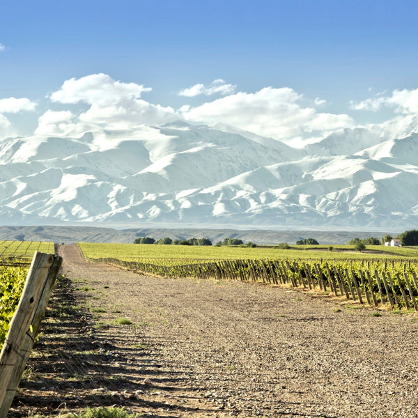 Extreme Winemaking South America Wine Tasting Kew The Good Wine Shop