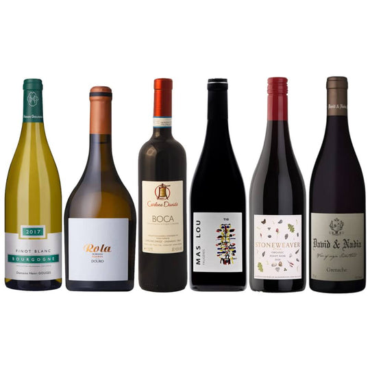 Giulio's Autumn Selection