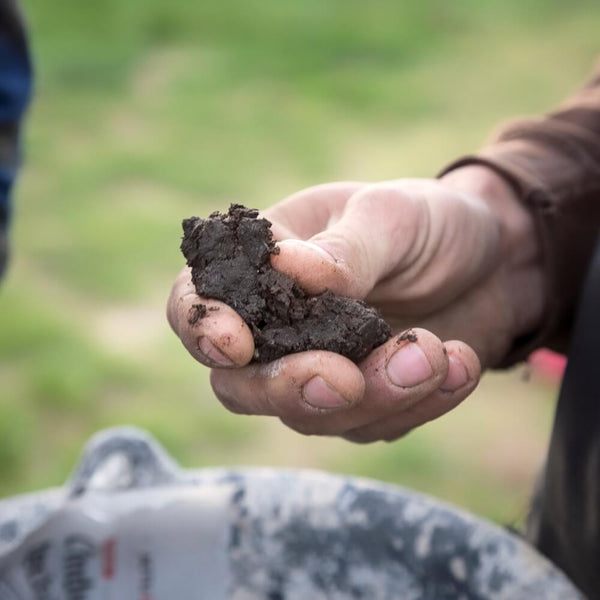 Organic & Biodynamic Wines Wine Tasting Kew The Good Wine Shop