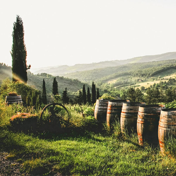 The Italian Grand Tour Wine Tasting Kew The Good Wine Shop