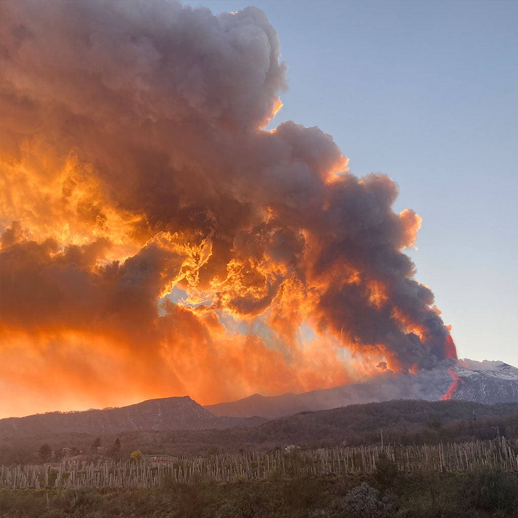 I Vigneri di Salvo Foti- Volcanic Wines Mixed Case