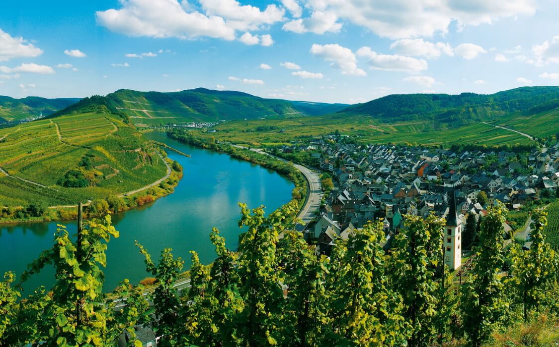 German wine – red, white and never better