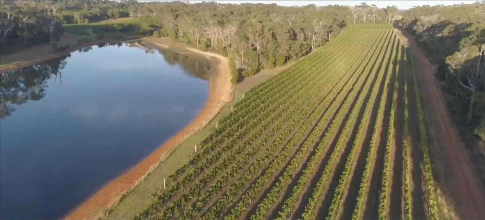 Margaret River Wines: Discovering Gant & Co in Western Australia