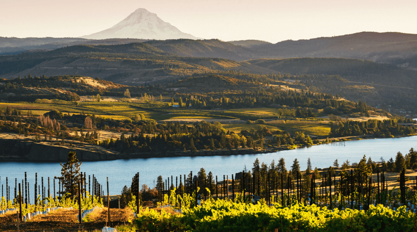 Discover Oregon Wines: Your New Autumn Obsession