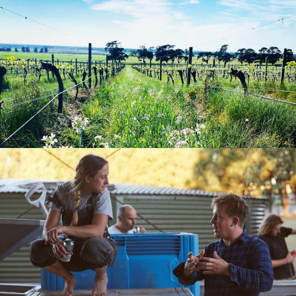 Natural Winemakers in Victoria: From Gold Rush Origins to the New Wine Vanguard