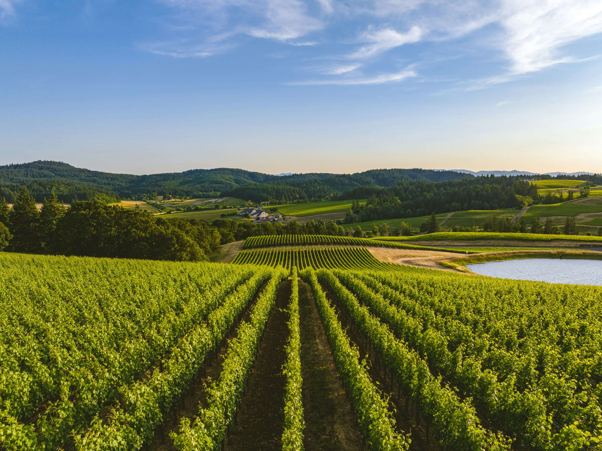 Oregon Wine: A Little Different by Nature