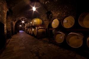 My Italy Trip