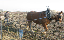 Champagne Benoit Lahaye