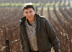 Champagne Marie Courtin