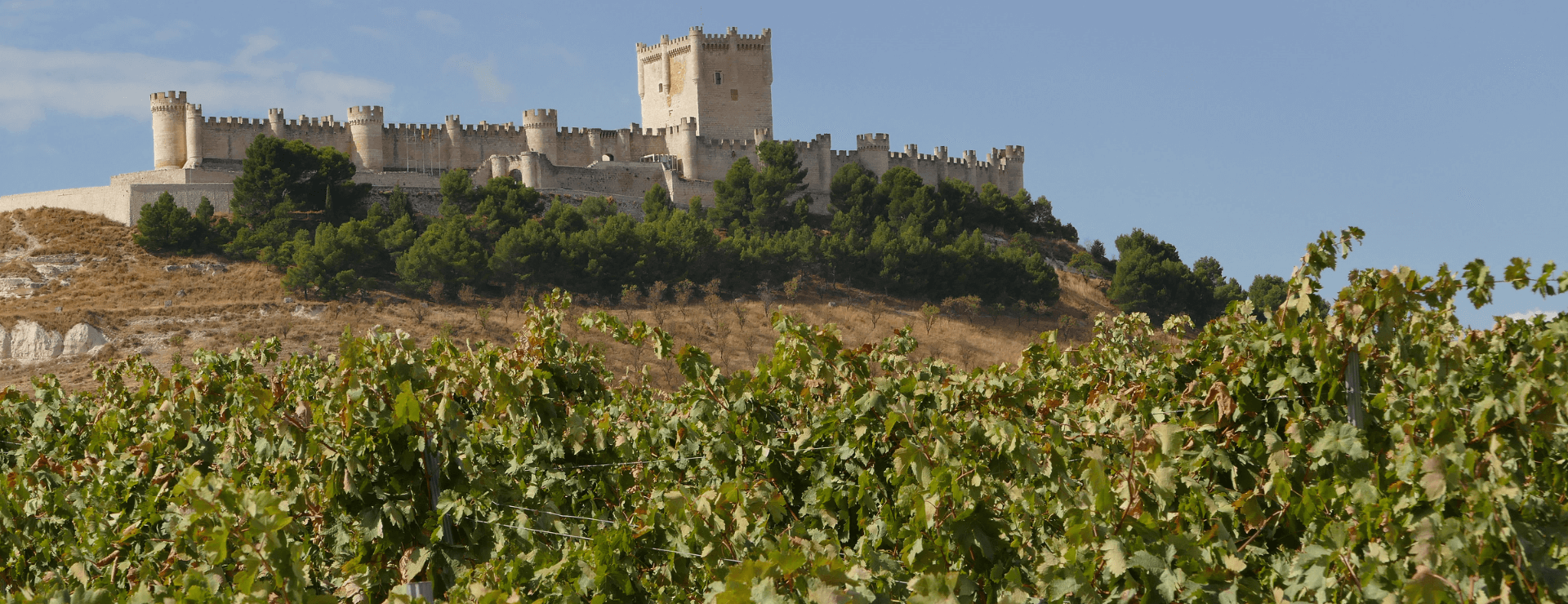 Ribera del Duero