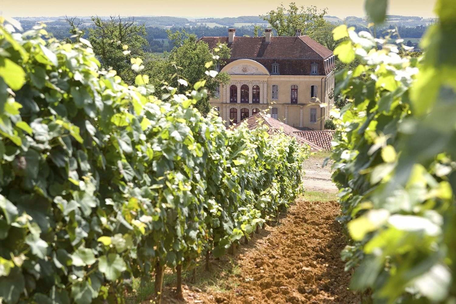 Chateau Montus