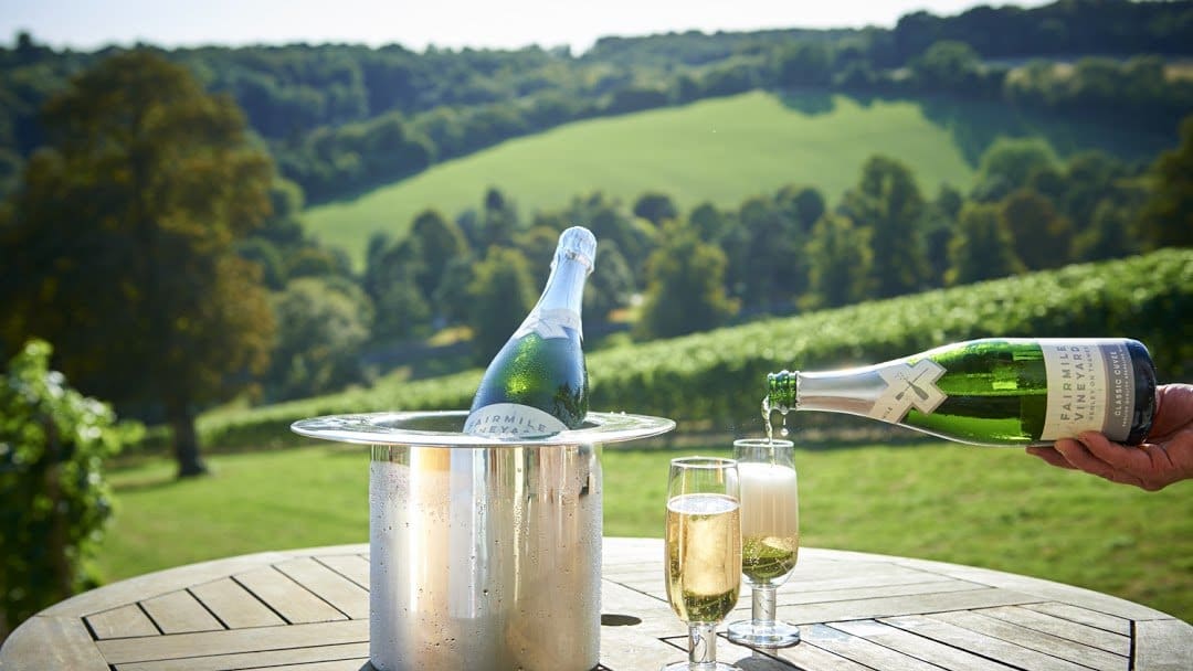 Fairmile Vineyard