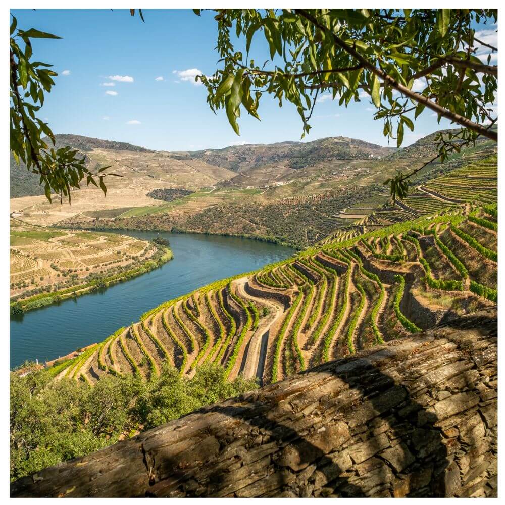 A Wine Journey along the Loire – St Margarets Wednesday 2nd July