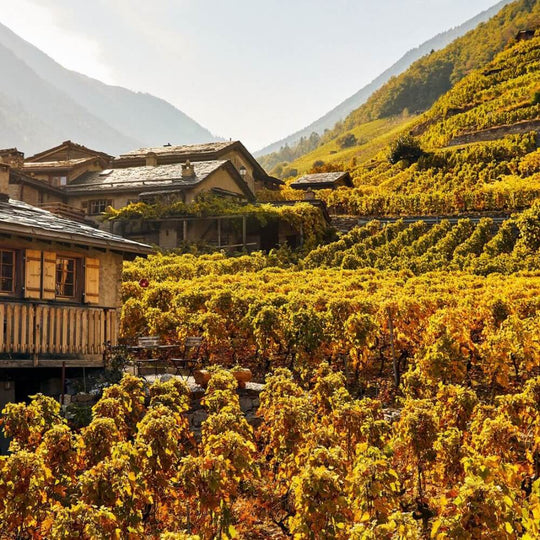 Alpine Wines - Teddington Wednesday 8th May