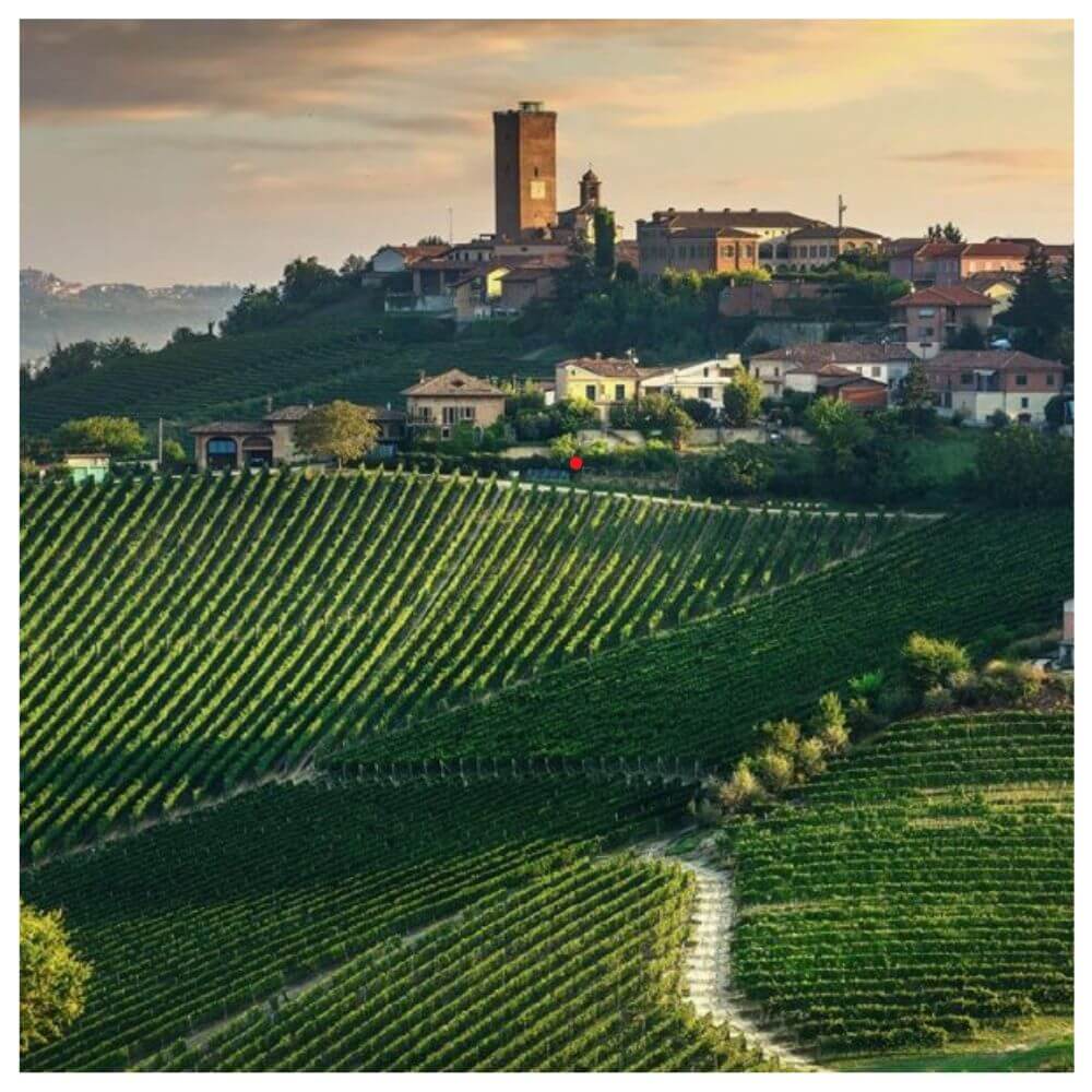 Barolo and Beyond: The Wines of Piedmont - Kew Thursday 22nd May