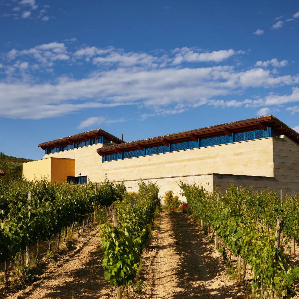 Bodegas Valenciso - A Winemaker hosted Tasting - Teddington Wednesday 14th February
