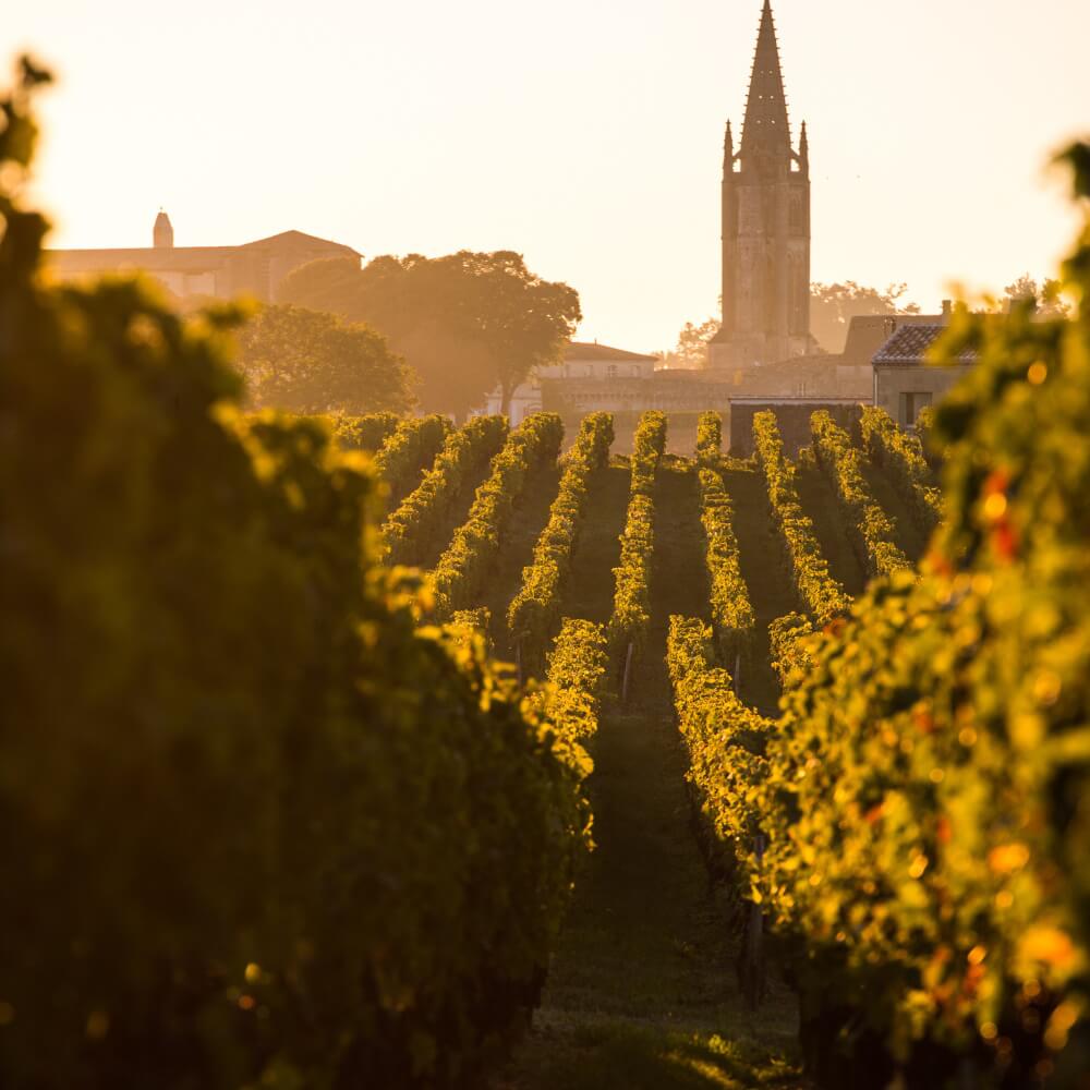 Bordeaux &amp; Beyond – Chiswick