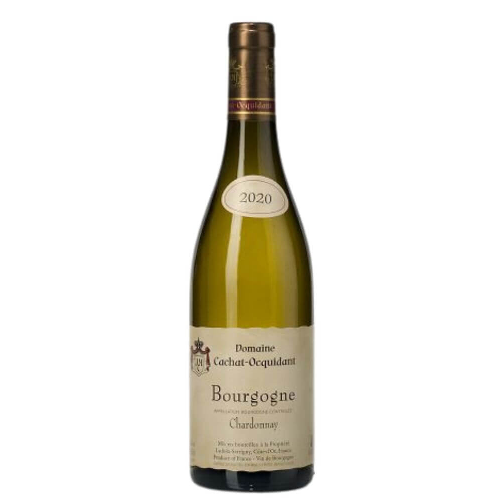 Domaine Cachat-Ocquidant, Bourgogne Chardonnay 2020
