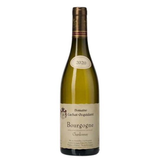 Domaine Cachat-Ocquidant, Bourgogne Chardonnay 2021