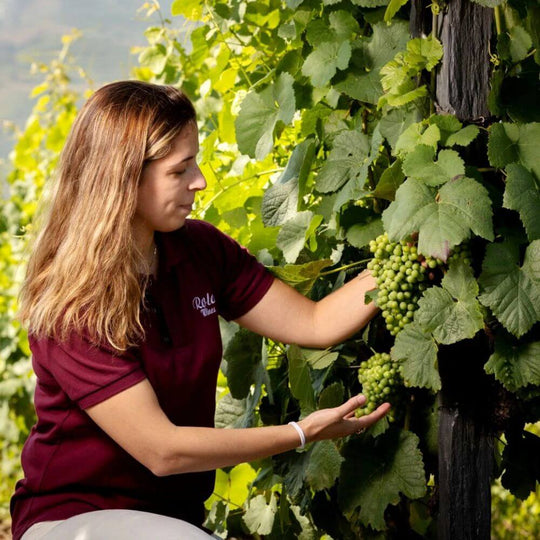 Table Talk: Ana Rola from the Douro - Chiswick Wednesday 12th November 2025