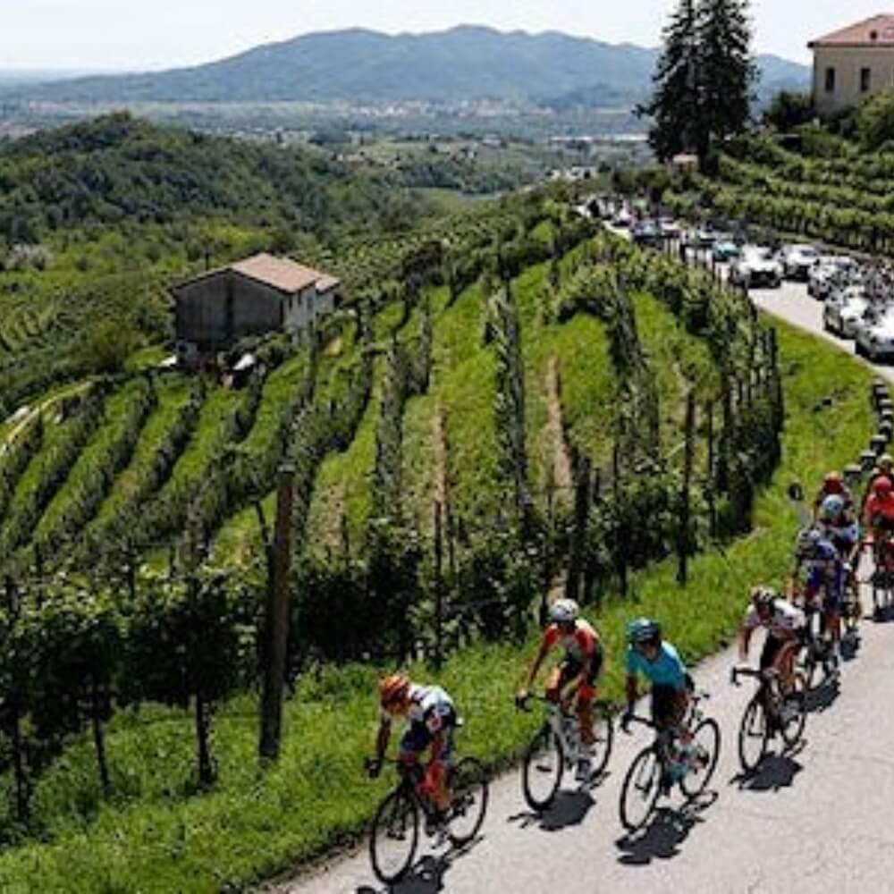 Giro d&#39;Italia  – Chiswick Thursday 2nd May