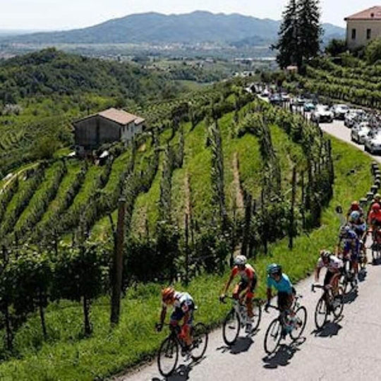 Giro d'Italia  – Chiswick Thursday 2nd May