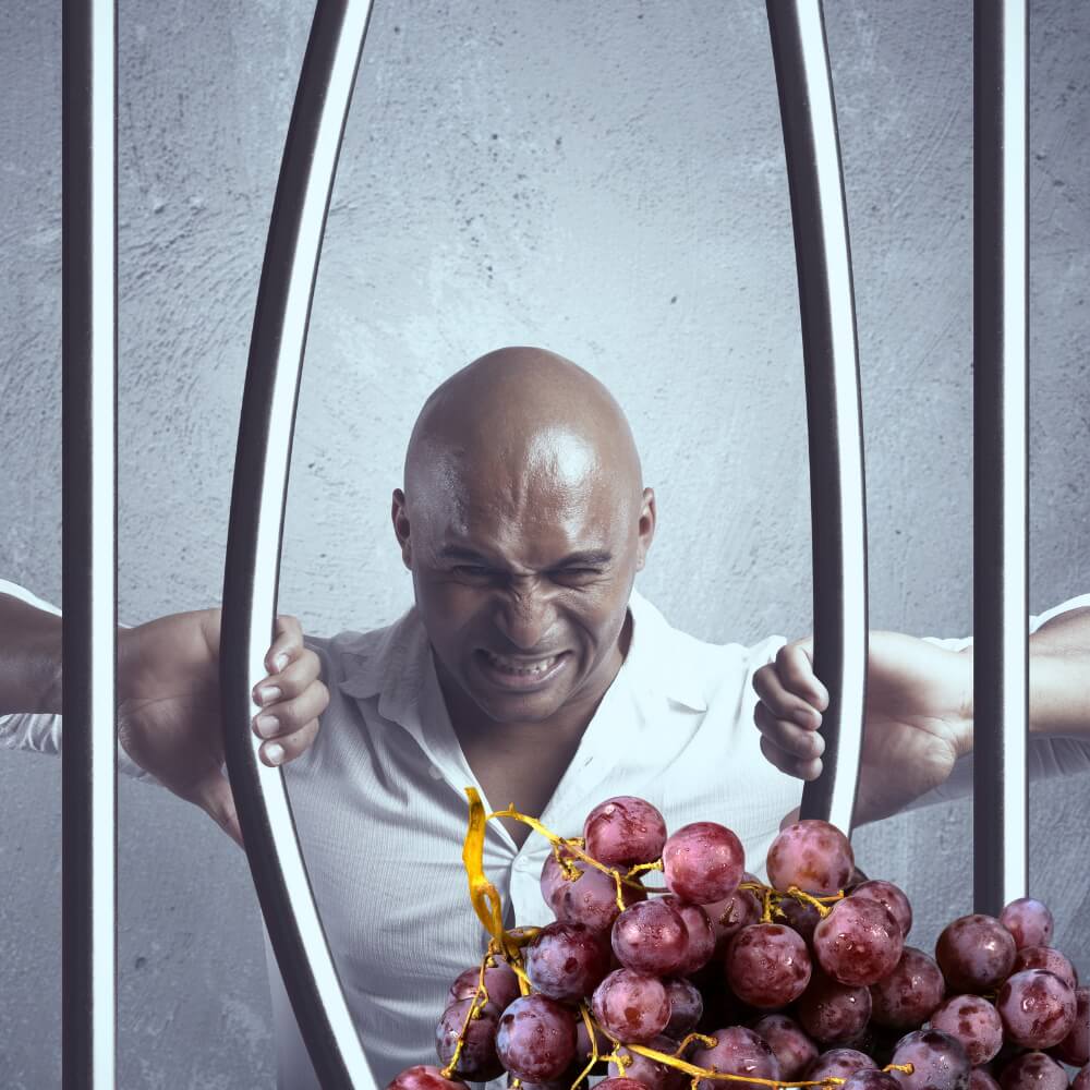 Grape Escapes - When a native grape leaves town – Teddington