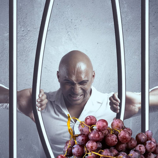 Grape Escapes - When a native grape leaves town – Teddington