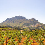 12.10 Great Wine Stories - South Africa- Kew