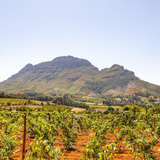 Great Wine Stories - South Africa – 21st September – Richmond