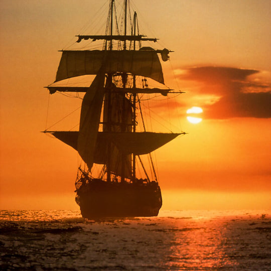 Great stories: Navigating Portuguese wine - Kew Thursday 20th June