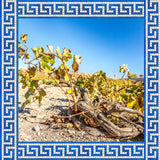 Greece - an introduction to its amazing grapes and regions - Teddington Wednesday 20th March