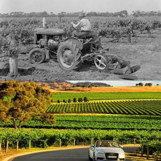 Italy from top to toe – St Margarets Thursday 23rd May